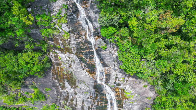 Conquering the adventurous peak of Do Quyen waterfall 2 days 1 night (13)